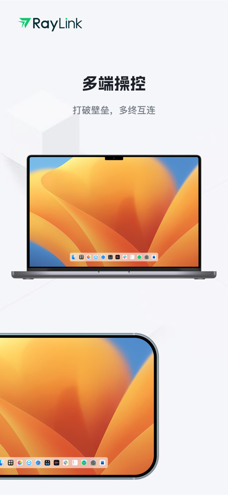 RayLink手机版截图4