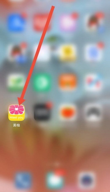 小编教你美柚怎么查看免责声明?美柚查看免责声明的方法。 小编教你美柚怎么查看免责声明?美柚查看免责声明的方法。