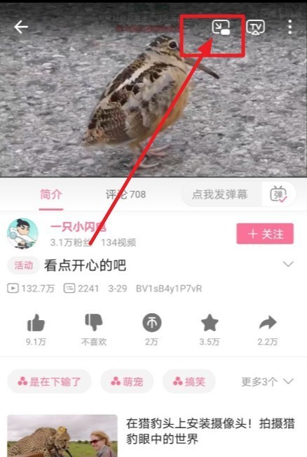 说说哔哩哔哩窗口模式怎么开?哔哩哔哩窗口模式打开步骤。