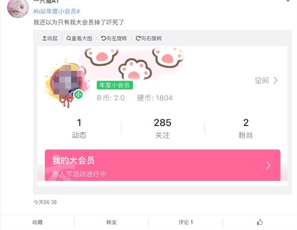 今天分享哔哩哔哩年度小会员正式上线 标识变成环保绿。