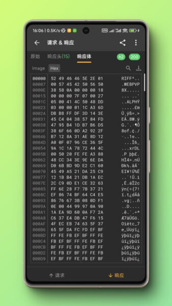 Reqable截图1