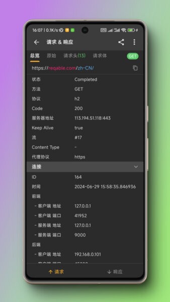 Reqable截图5