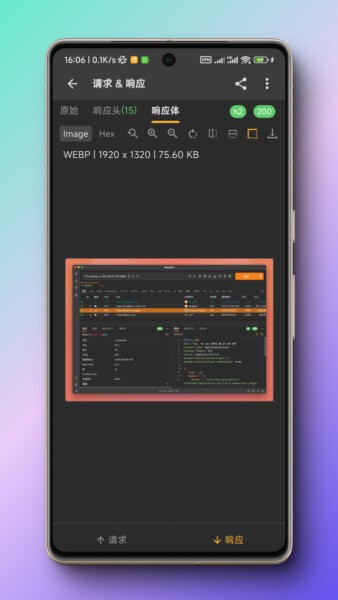 Reqable截图3