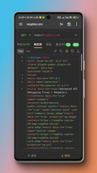 Reqable截图2