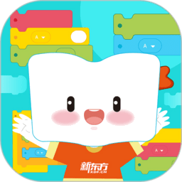 新东方积木 新东方积木