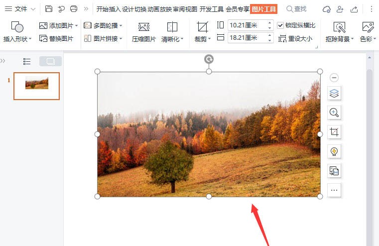 我来分享wps封面如何添加反白字？wps封面添加反白字效果教程。