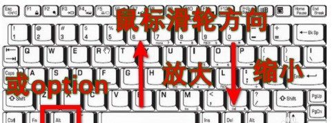 分享Adobe Photoshop CC如何放大缩小图片-Adobe Photoshop CC放大缩小图片的详细步骤。