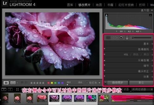 教你Lightroom批量处理的操作方法。