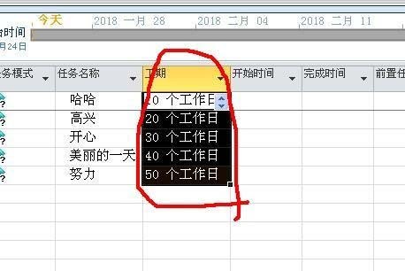 今天分享Project将工作日改成days的操作方法。