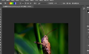 说说photoshop2020怎么新建图层-photoshop2020新建图层的具体操作。