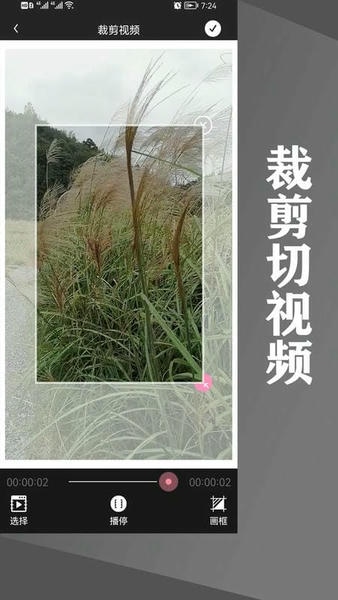水印王截图3