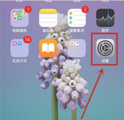关于iPhone13怎么关闭自动亮度?iPhone13关闭自动亮度教程。