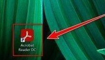 关于Adobe Acrobat Reader DC怎样放大文档内容？Adobe Acrobat Reader DC放大文档内容的方法。