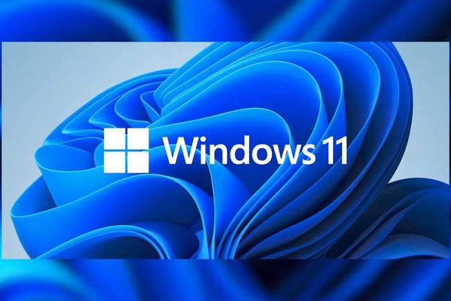 小编教你win11需要付费吗？win11是不是免费的。