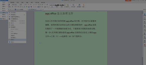 说说wps office如何加密文件-wps office加密文件的方法。