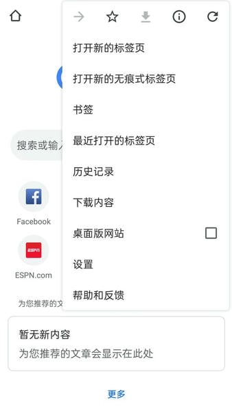 Google浏览器截图1