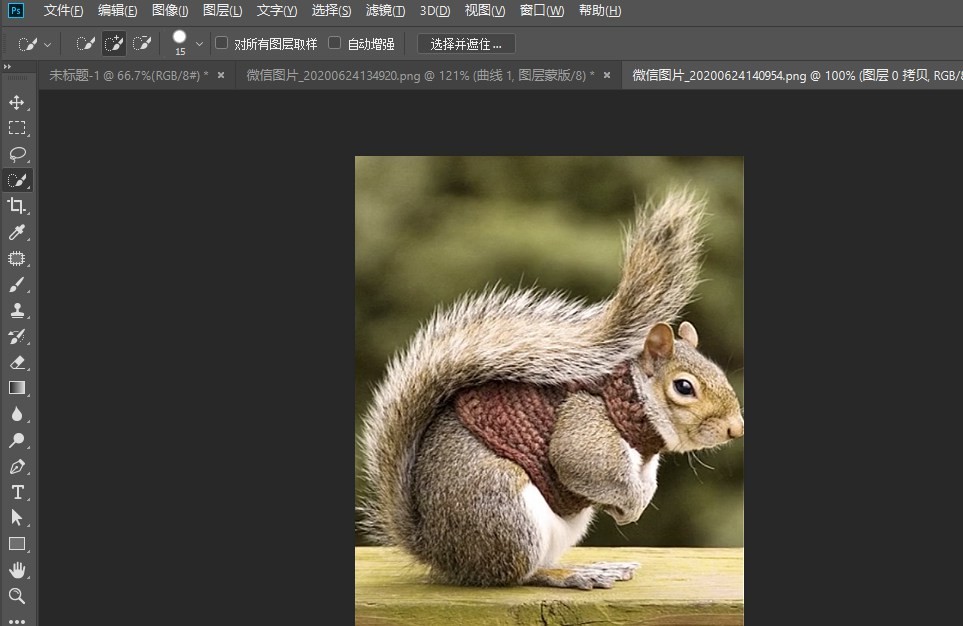 今天分享photoshop怎么快速抠动物毛发。