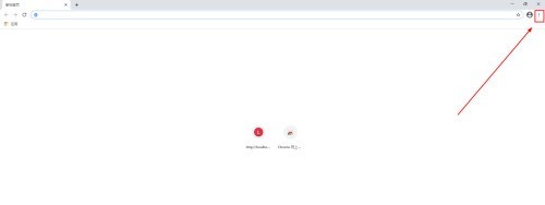 小编分享Google浏览器如何关闭自动打开pdf文件?Google浏览器关闭自动打开pdf文件的方法。