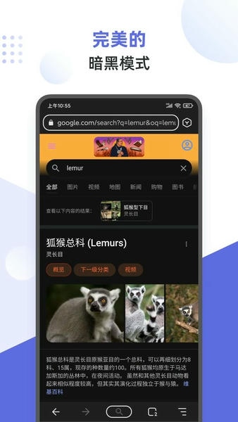 狐猴浏览器截图3