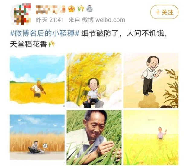 说说如何设置微博名后面的小稻穗?微博设置名后面的小稻穗教学。