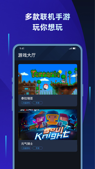 贝锐蒲公英联机app截图3