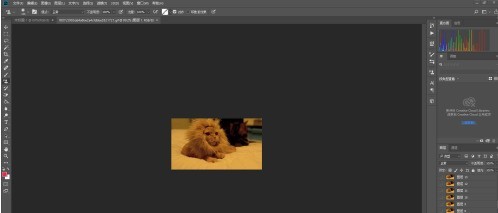 小编分享photoshop cc 2018如何缩放图层？photoshop cc 2018缩放图层的方法。