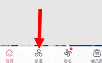 分享哔哩哔哩电音频道在哪里?哔哩哔哩找到电音频道的详细步骤。