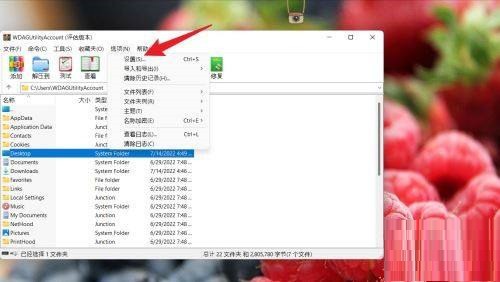 小编教你WinRAR如何设置查看器类型-WinRAR设置查看器类型的方法。
