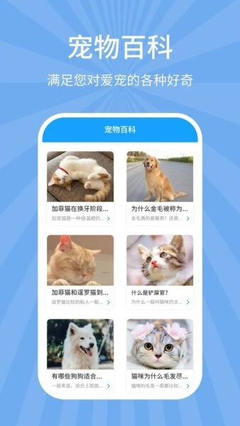 狗猫翻译器免费版截图3