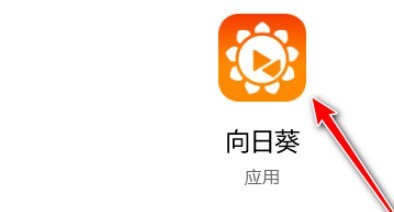 今天分享向日葵怎样设置启用手动代理-向日葵教程。