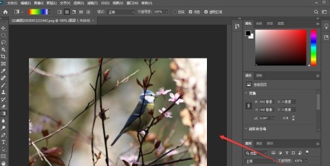 小编分享photoshop2020怎么样调整亮度？photoshop2020调整亮度的方法。