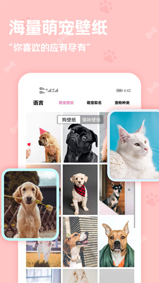动物语言翻译器app截图4