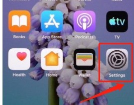 关于iphone13屏幕发黄发暗怎么调节？iphone13原彩显示关闭方法介绍。