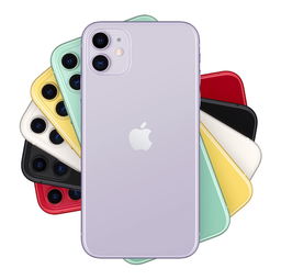 我来分享iphone11返回主屏幕的操作流程。