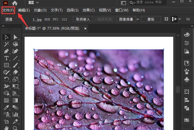 关于ai怎么制作木刻矢量图-ai制作木刻矢量图的方法。 关于ai怎么制作木刻矢量图-ai制作木刻矢量图的方法。
