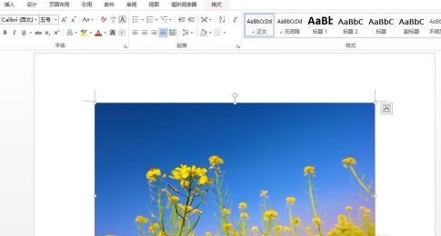 我来教你Word怎样设置图片格式-Word设置图片格式的详细流程。 我来教你Word怎样设置图片格式-Word设置图片格式的详细流程。