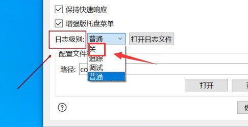 我来分享Snipaste怎么关闭日志级别-Snipaste关闭日志级别的方法。