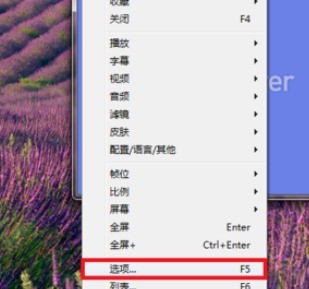 我来教你PotPlayer关联视频文件的详细操作步骤。