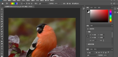 小编分享photoshop2020如何调整图像大小？photoshop2020调整图像大小的方法。