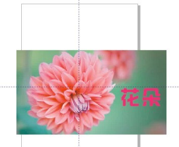 我来教你CorelDraw X4如何插入特殊字符-CorelDraw X4插入特殊字符的方法。