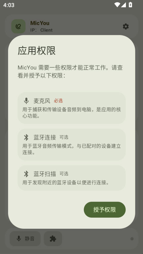 micyou app截图1