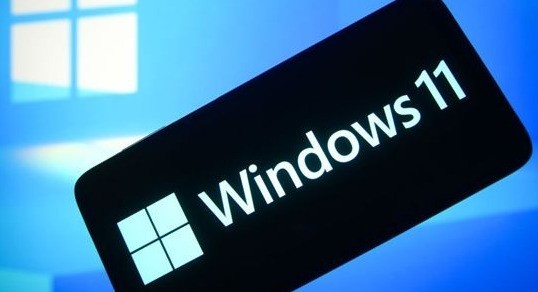分享Windows11浏览器没网怎么解决？Windows11设置局域网络技巧。