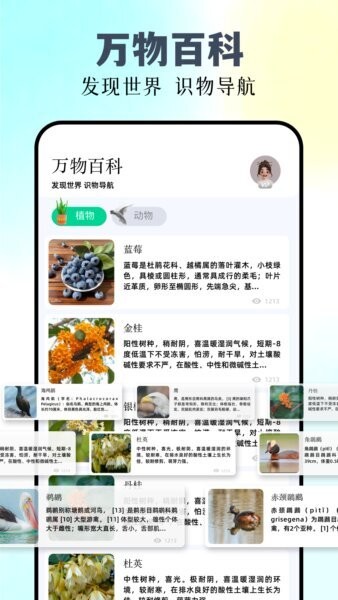 识万物截图2