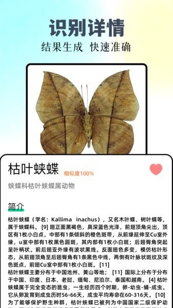 识万物截图4