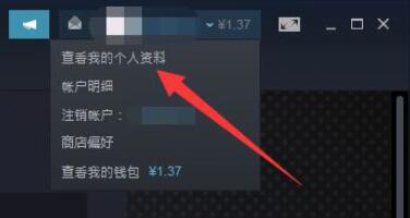 分享steam怎么查看交易链接-steam查看交易链接方法。