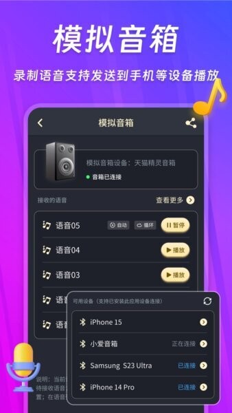 话筒扩音器免费版截图3