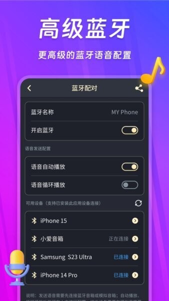 话筒扩音器免费版截图5