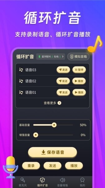 话筒扩音器免费版截图2