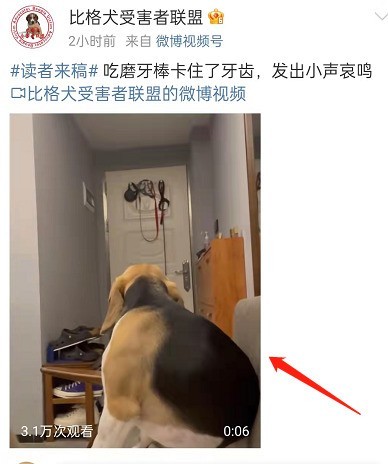 关于微博小视频清屏功能怎么开启？微博小视频清屏功能使用方法。
