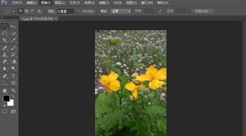 教你photoshop cs6怎么翻转照片素材？photoshop cs6翻转照片素材的方法。